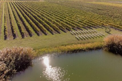 Pop-up wedding ceremony set up beside the Bella Terra Vineyards Pond.