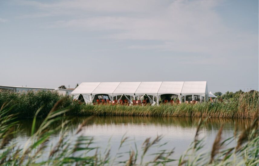A vineyard tent wedding at Bella Terra Vineyards in Niagara-on-the-Lake.