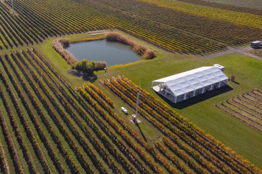 Overview of the vineyard and tent at Bella Terra Vineyards.