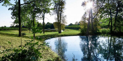 Hidden Bench, a winery in the Niagara Benchlands