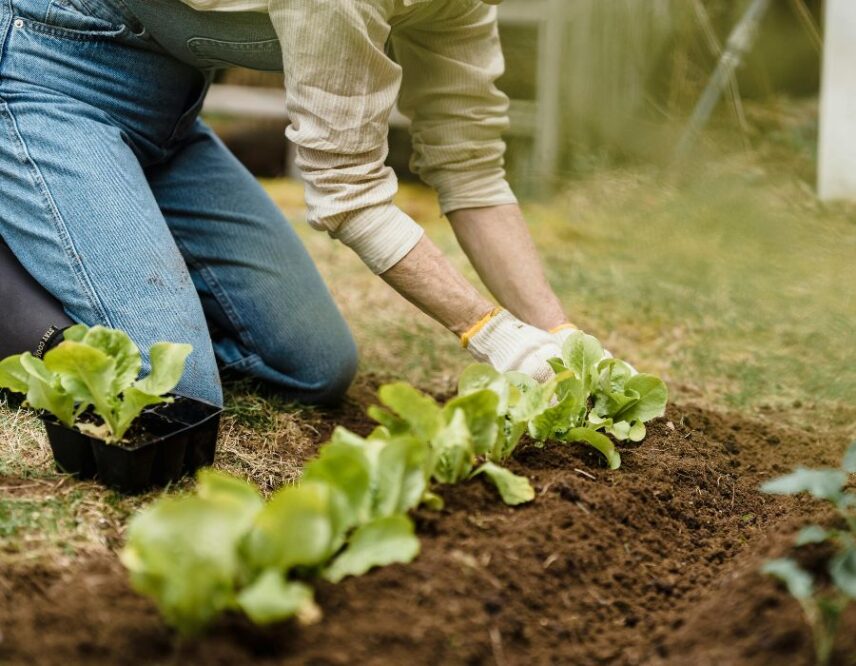 Clippings Floral in Niagara-on-the-Lake - Vintage Hotels