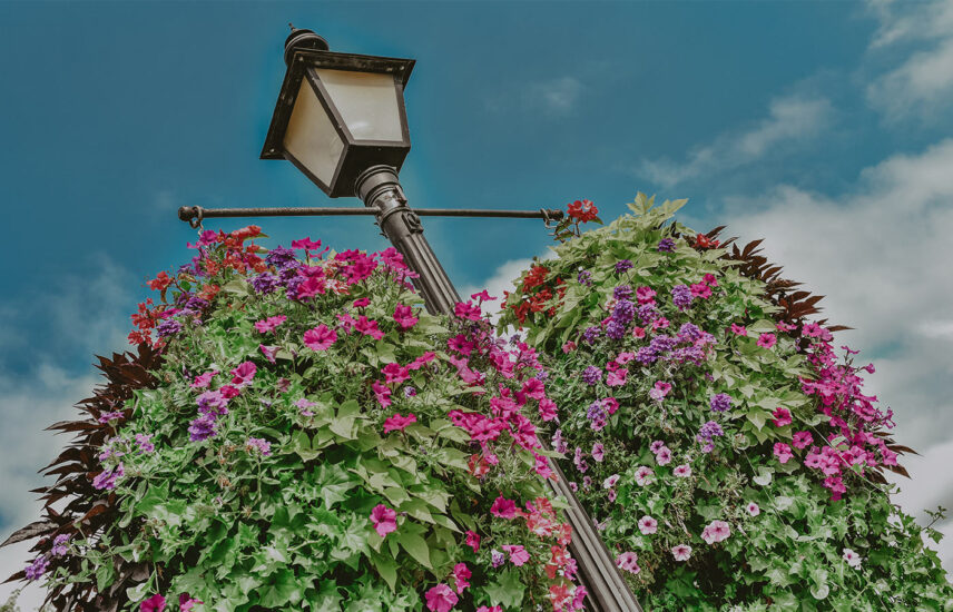 Vintage light post near Moffat Inn in Niagara on the Lake