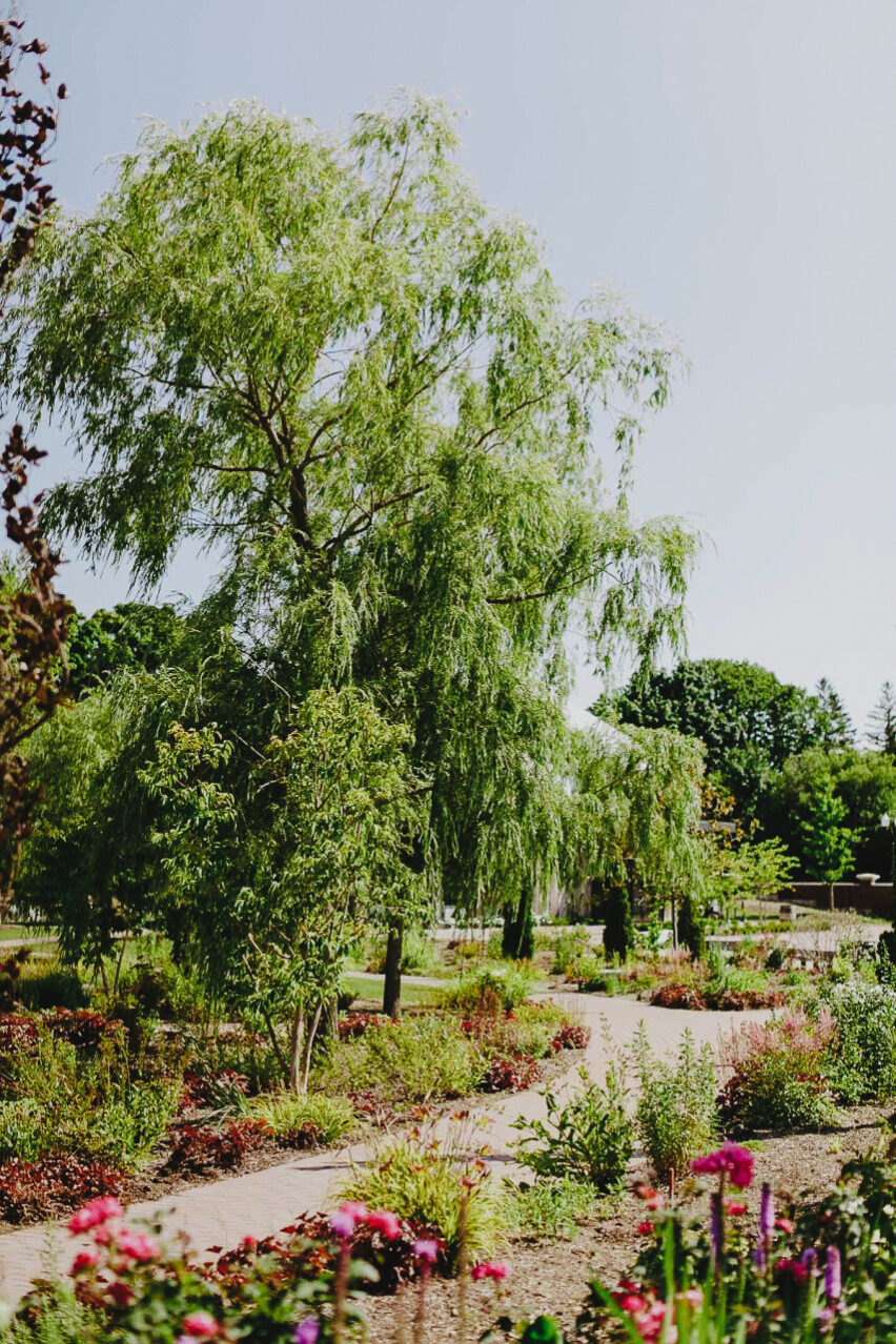 Greenery and flowers in the Gardens at Pillar and Post in Niagara on the Lake