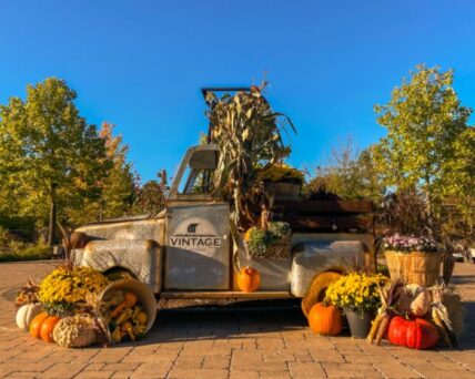 A display celebrating fall in Niagara-on-the-Lake