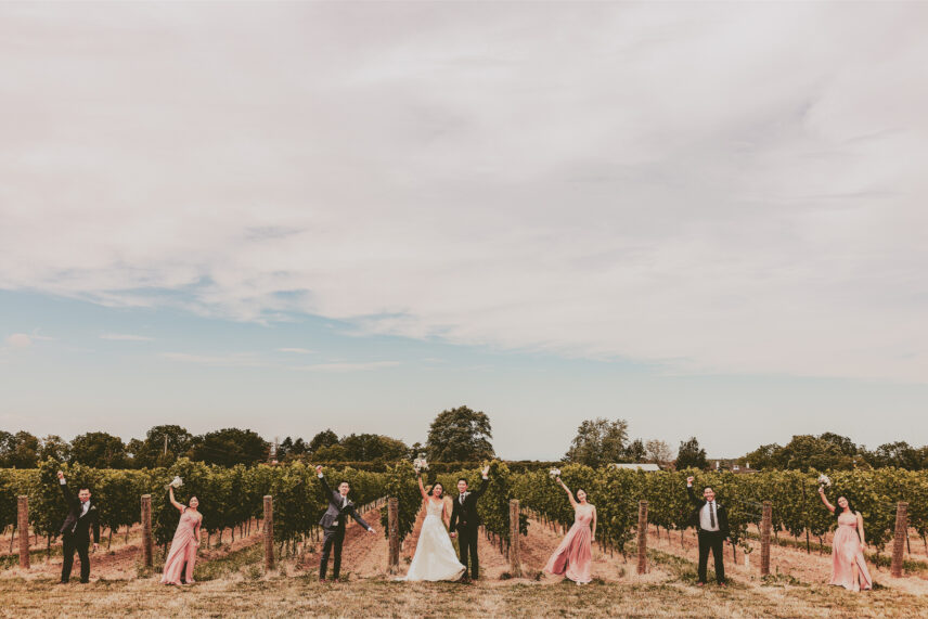 Photo shoot of a wedding party in a vineyard by a Vintage Hotels property.
